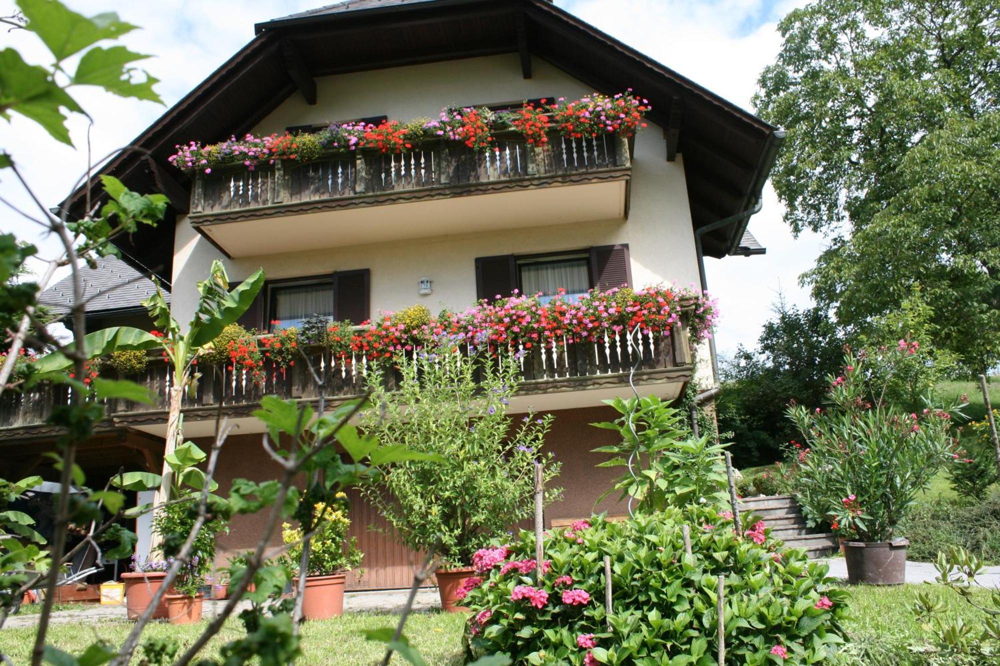 Gasthaus - Gaestehaus Schusterbauer Rein Екстер'єр фото
